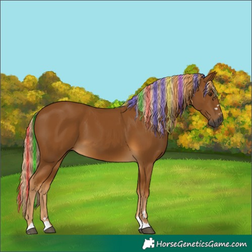 Horse Color:Gray Painted Palomino