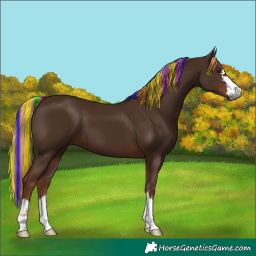 Horse Color:Gray Painted Chestnut