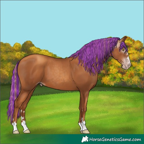 Horse Color:Gray Painted Gold Champagne