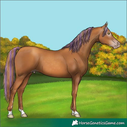 Horse Color:Gray Painted Gold Champagne