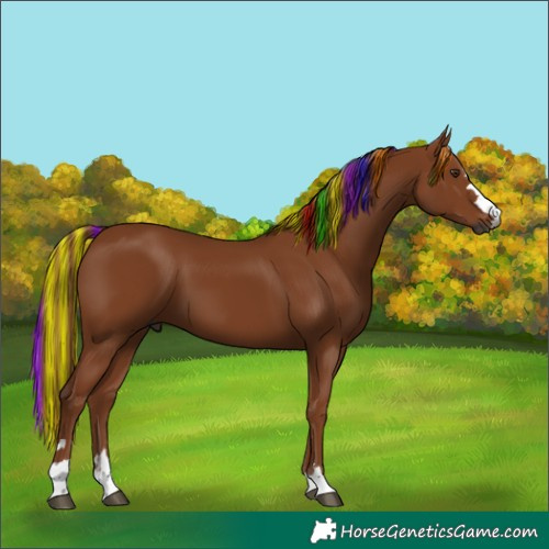 Horse Color:Gray Painted Chestnut