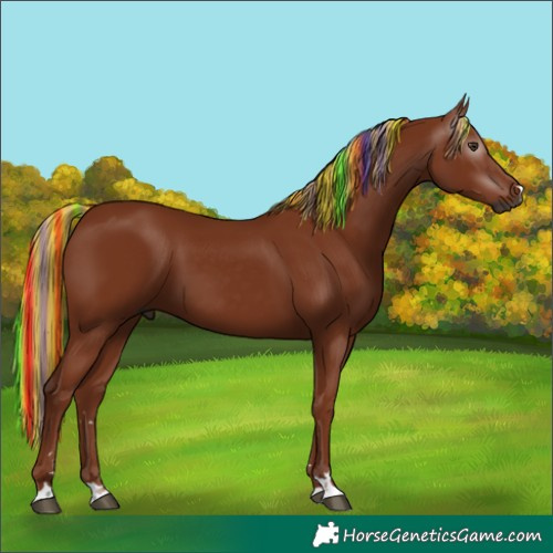 Horse Color:Gray Painted Chestnut 