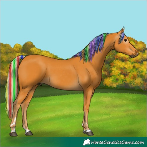 Horse Color:Gray Painted Palomino 