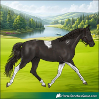 Horse Color:Liver Chestnut Tobiano