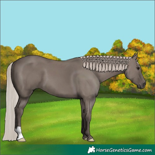 Horse Color:Silver Grullo