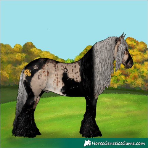 Horse Color:Void Silver Brown Dun Splash Tobiano Frame Brindle