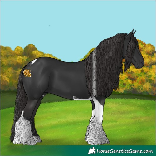 Horse Color:Liver Chestnut Tobiano 