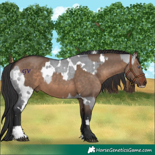 Horse Color:White Spotted Brown Chinchilla Dun and Brown Dun