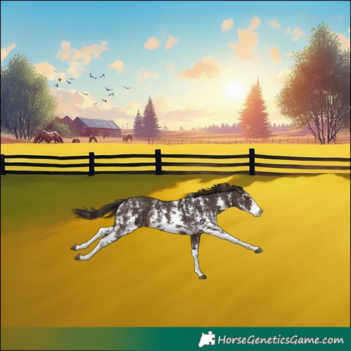 Horse Color:Liver Chestnut Sabino 