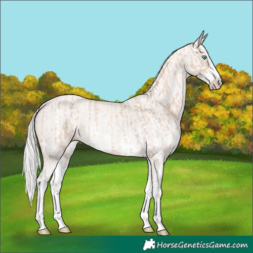Horse Color:Cremello Sabino  and Cremello Sabino 