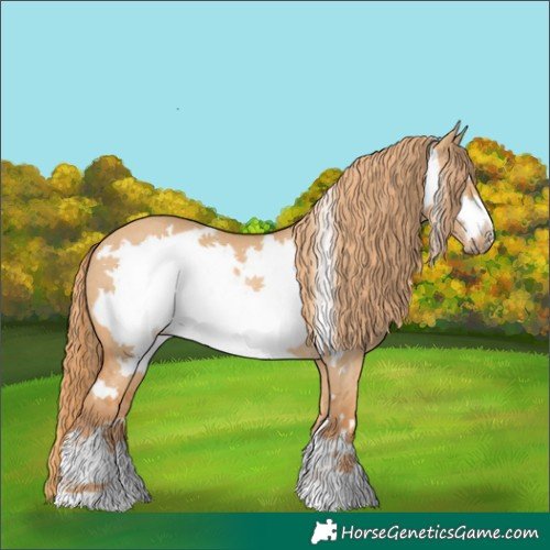 Horse Color:Red Dun Frame Rabicano 