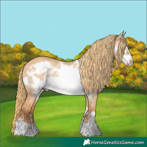 Horse Color:Red Dun Frame Rabicano Brindle
