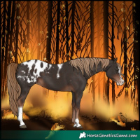 Horse Color:Liver Chestnut Splash Tobiano Blanket