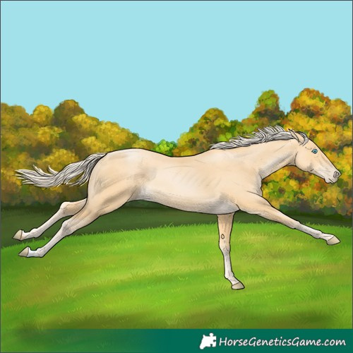Horse Color:Palomino Pearl 