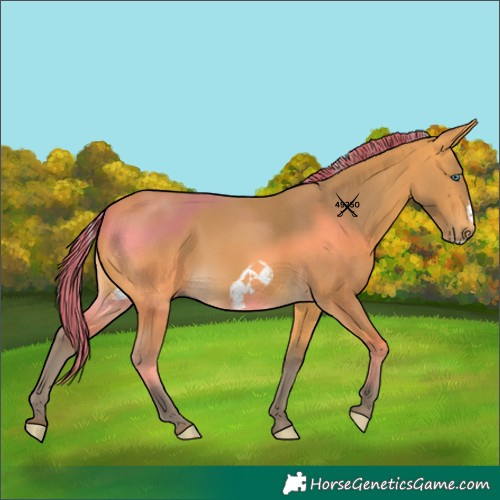 Horse Color:Painted Silver Buckskin Frame