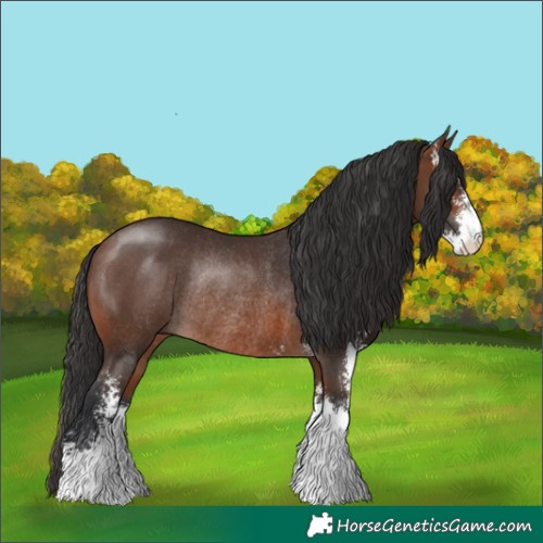 Horse Color:Brown Sabino Rabicano