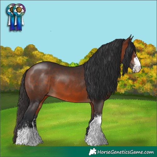 Horse Color:Brown Sabino
