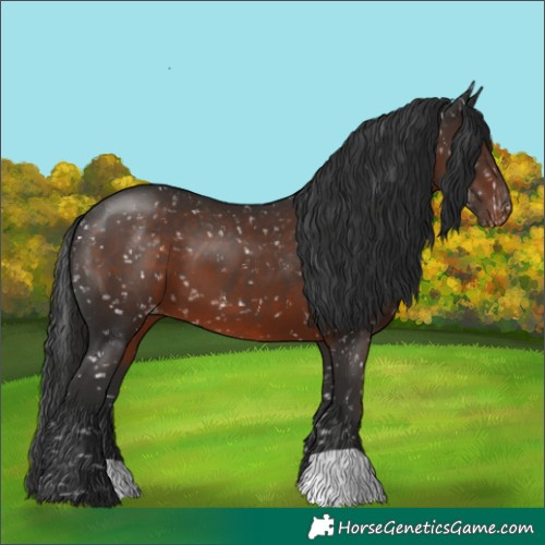 Horse Color:Liver Chestnut Snowflake Varnish 