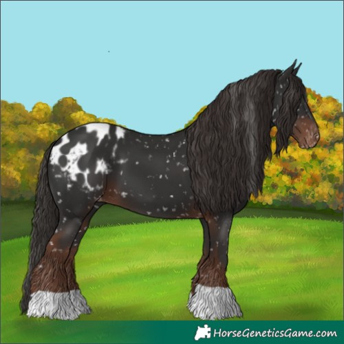 Horse Color:Liver Chestnut Blanket 