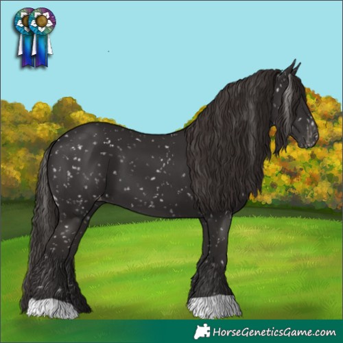 Horse Color:Liver Chestnut Snowflake Varnish 