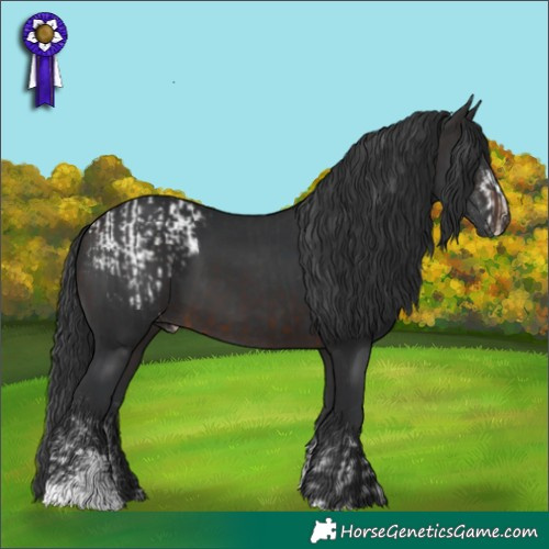 Horse Color:Black Sabino Snowcap and Brown Sabino