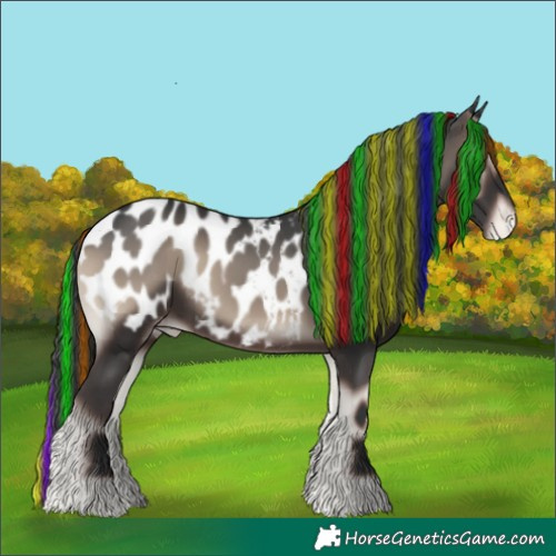 Horse Color:Painted Blue Onyx Near Leopard