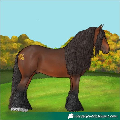 Horse Color:Brown 