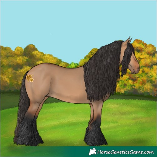 Horse Color:Bay Dun