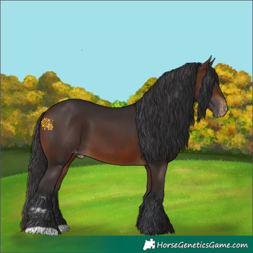 Horse Color:Brown Skewed LP Spotted
