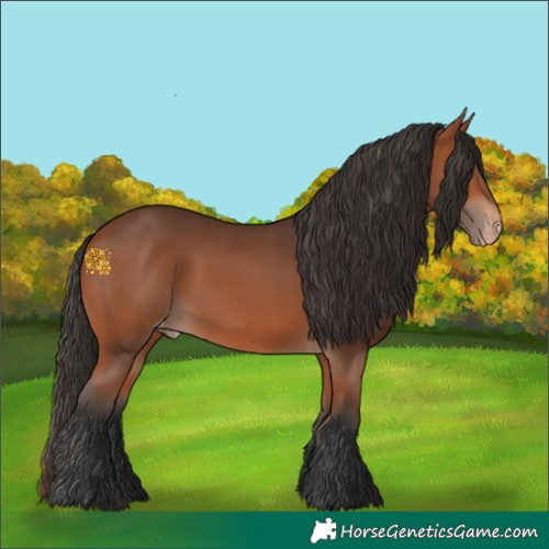 Horse Color:Bay Skewed LP Spotted