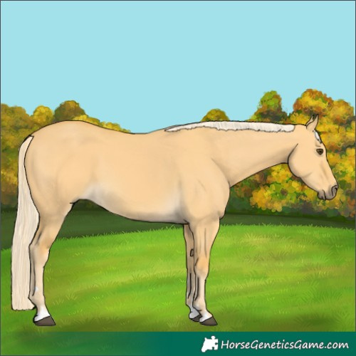 Horse Color:Palomino Dun 