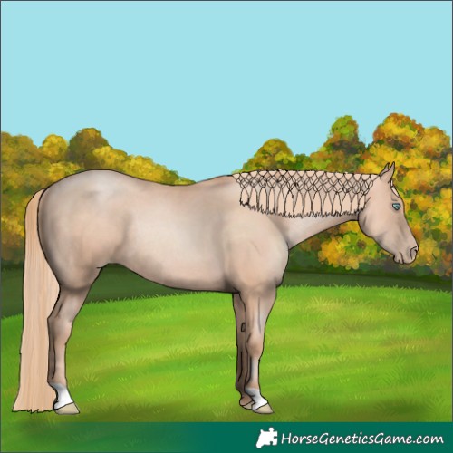 Horse Color:Gold Champagne Pearl Rabicano  and Gold Champagne Pearl Rabicano 