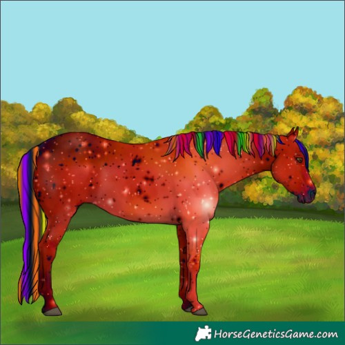 Horse Color:ERROR: UNKNOWN ANOMALY