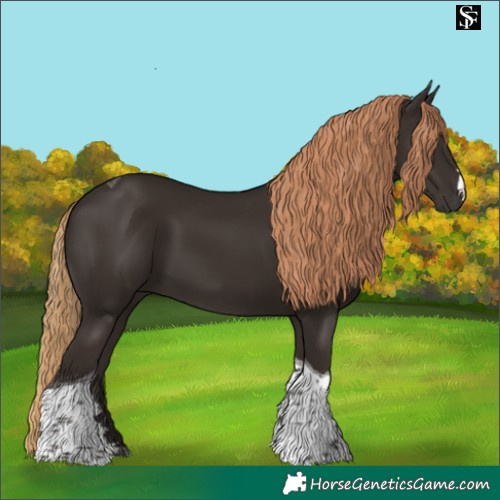 Horse Color:Liver Chestnut Tobiano 