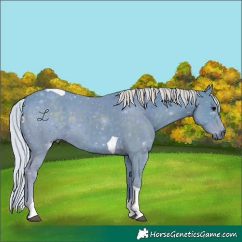 Horse Color:Watercolor Silver Black Tobiano 