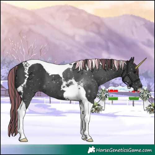 Horse Color:Painted Black Tobiano