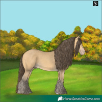 Horse Color:Amber Cream Champagne