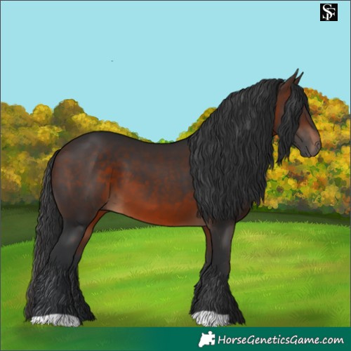 Horse Color:Brown 