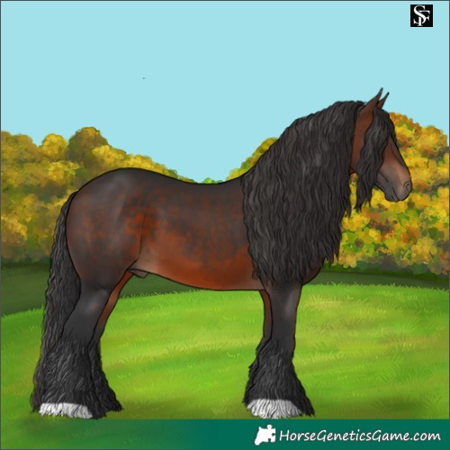 Horse Color:Brown