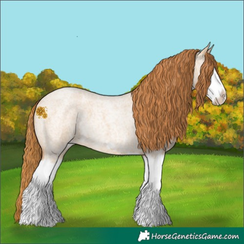 Horse Color:Red Dun Roan Splash Frame Rabicano