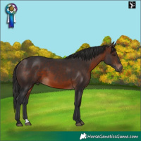 Horse Color:Brown 