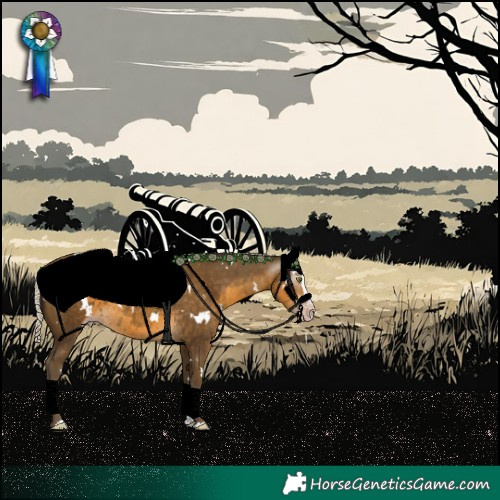 Horse Color:Gray White Spotted Silver Classic Cream Champagne Splash