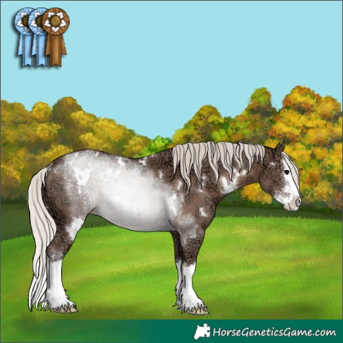 Horse Color:White Spotted Silver Black Ice Sabino Splash Rabicano 