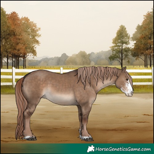 Horse Color:Liver Red Dun Sabino 