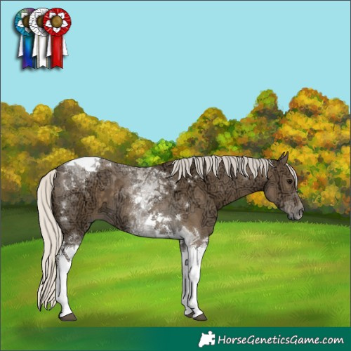Horse Color:Silver Smoky Black Ice Tobiano 