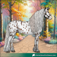 Horse Color:Silver Bay Tobiano Appaloosa 