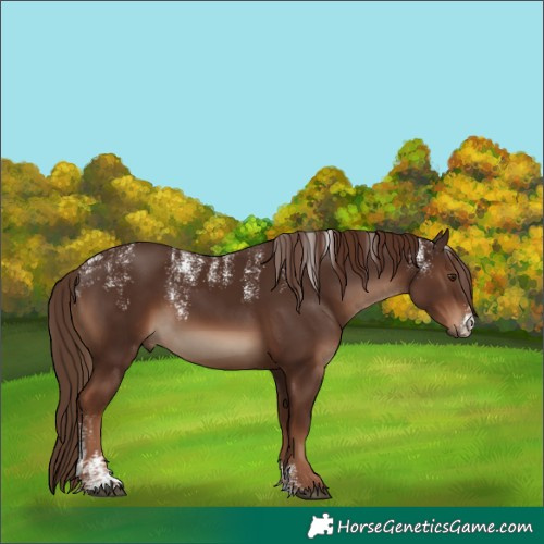 Horse Color:Powder White Liver Chestnut