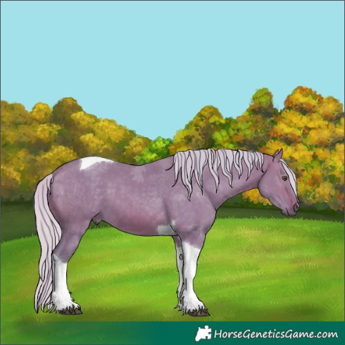 Horse Color:Watercolor Silver Brown Dun Tobiano