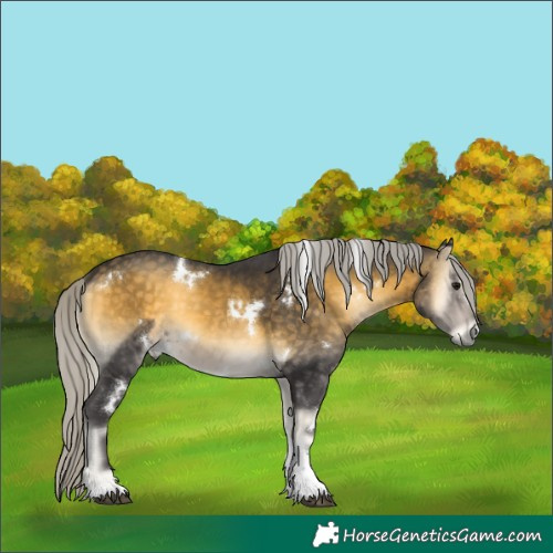 Horse Color:White Spotted Silver Buckskin Onyx Mushroom Tobiano