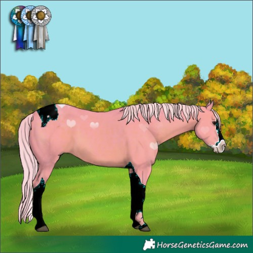 Horse Color:Watercolor Silver Black Splash Tobiano 